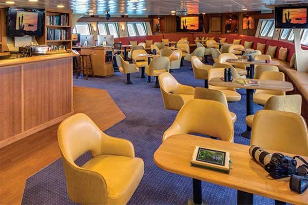 NG Sea Lion Gallery Image